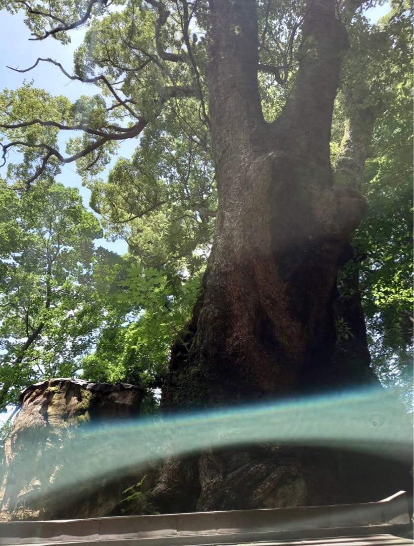 金運•財運上昇〜パワーUP金龍＆鳳凰⭐️龍体文字フトマニ図　オルゴナイト