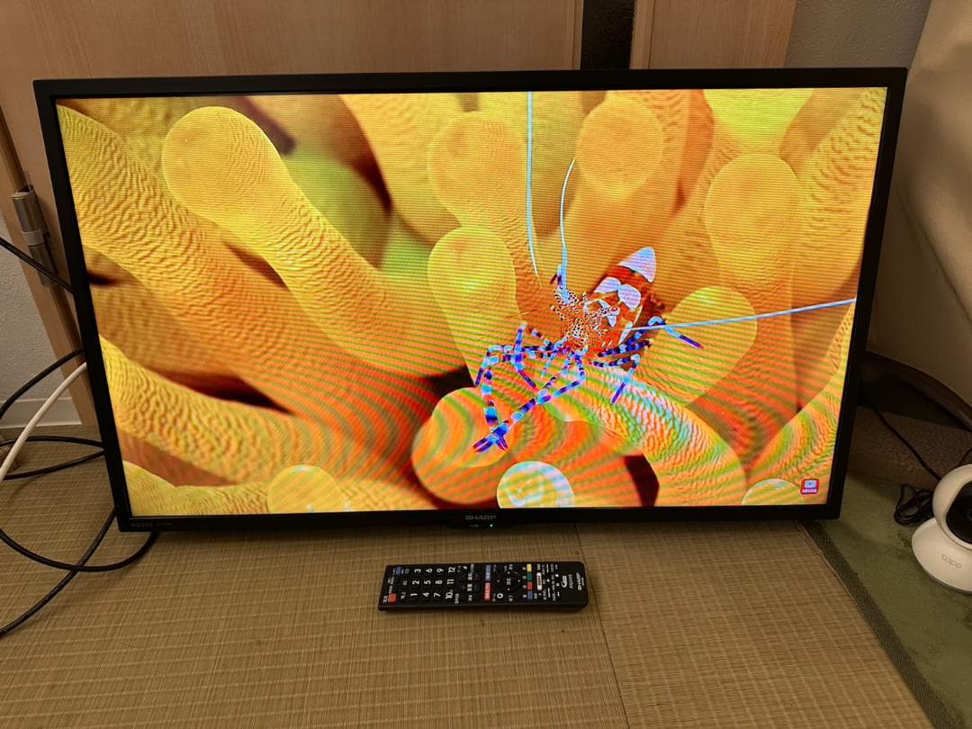SHARP シャープ　32型　テレビ 2T-C32DE 2022年製　状態綺麗！