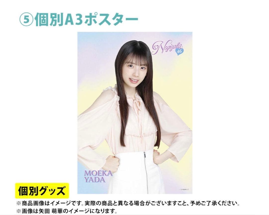 乃木坂46 2026年福袋A B C 19点　柴田柚菜