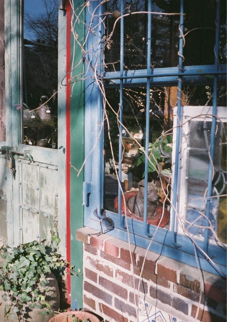 【動作確認・清掃済み＊試写あり】水色 リコーオートハーフE