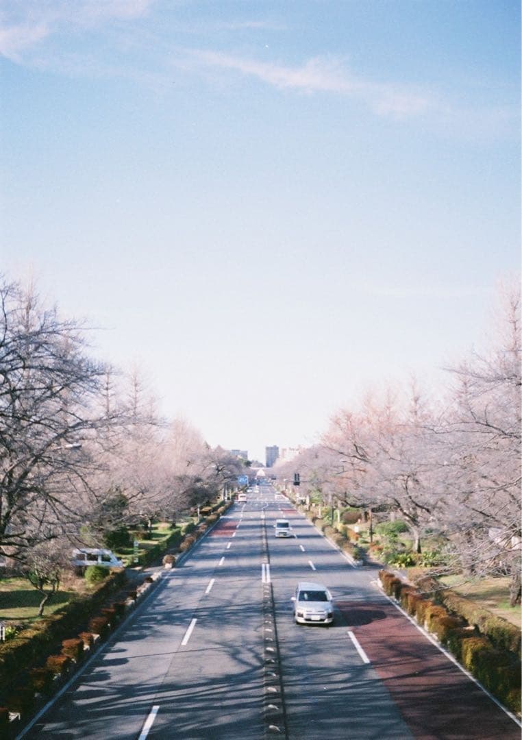 【動作確認・清掃済み＊試写あり】水色 リコーオートハーフE