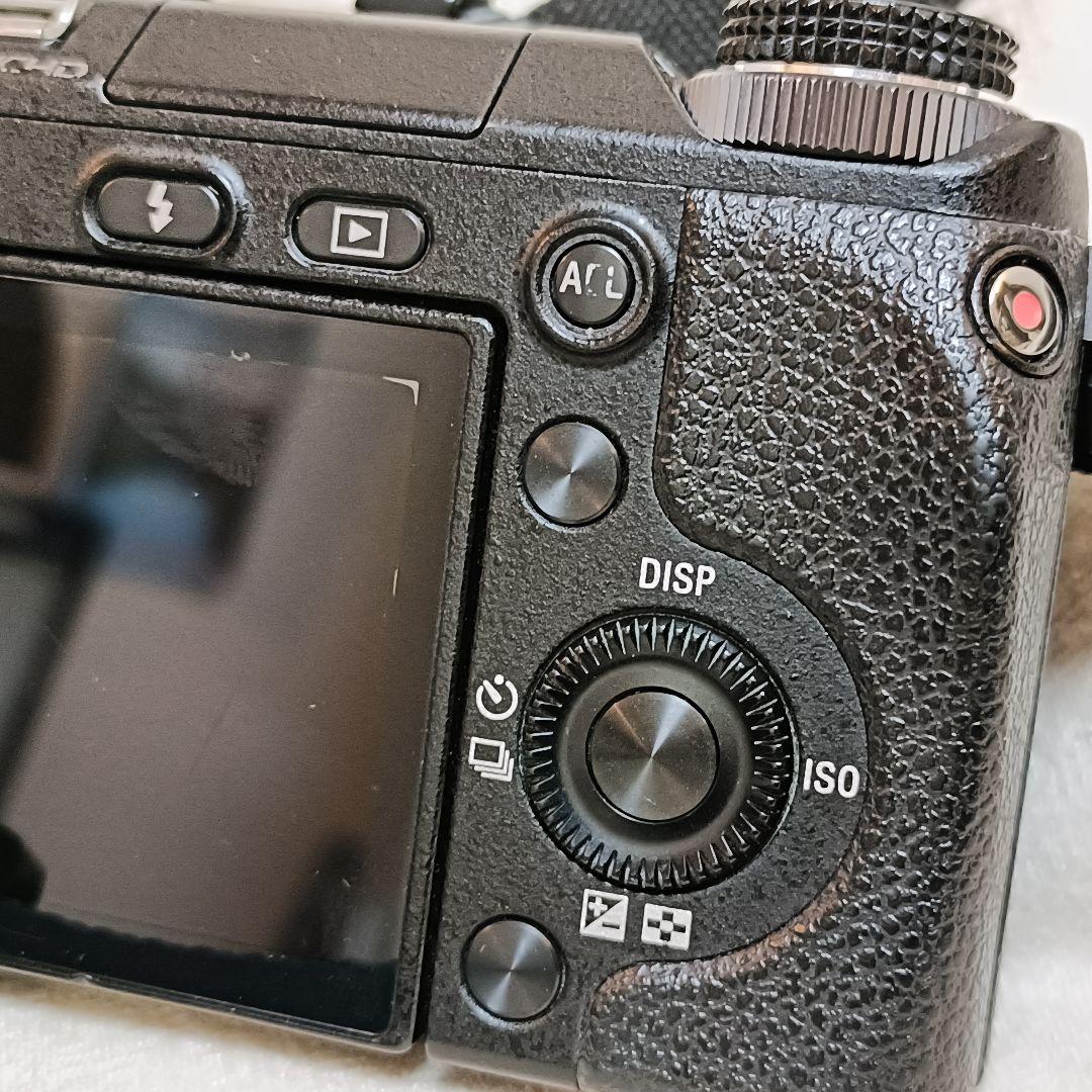 SONY α NEX-6 ボディのみ ミラーレス一眼 APS-C