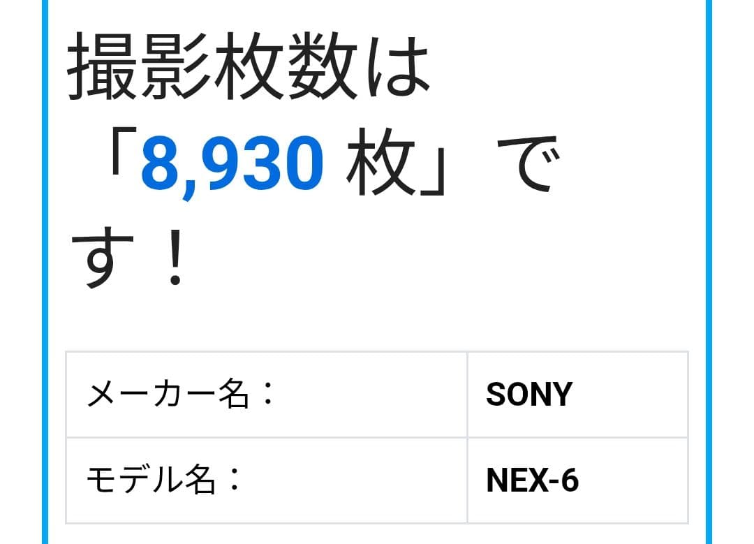 SONY α NEX-6 ボディのみ ミラーレス一眼 APS-C