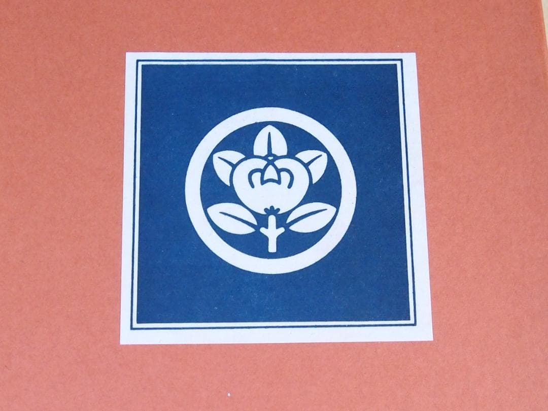 【未使用】たち吉/橘吉 青磁 長角皿 5客 竹節陽刻 焼物皿/刺身皿 磁器/食器