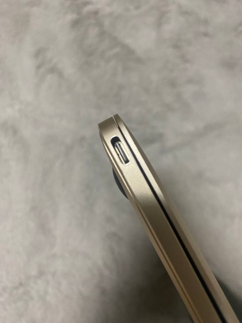 【純正アダプタ2個付】MacBook Retina12inch 2015ゴールド
