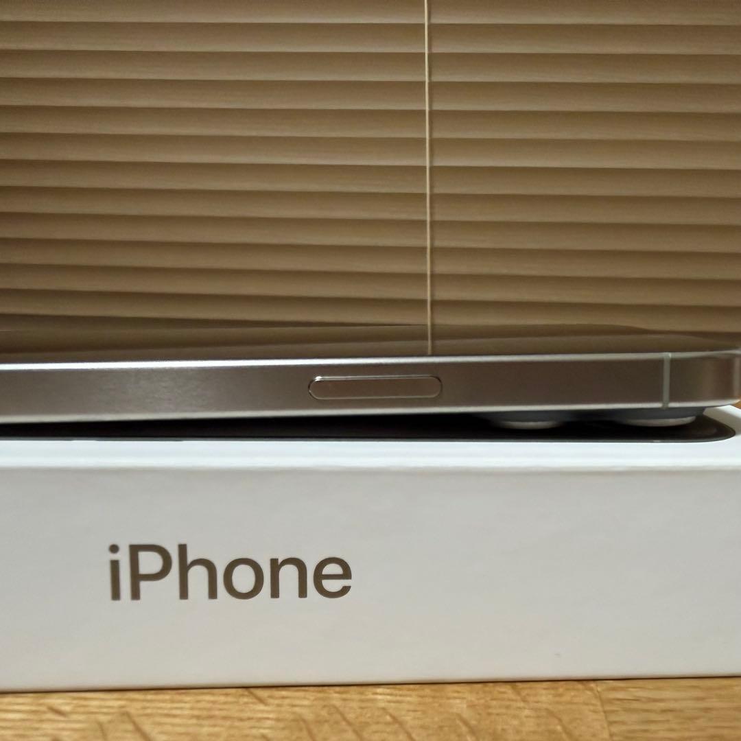 iPhone 15 Pro ナチュラルチタニウム SIMフリー 1TB +おまけ