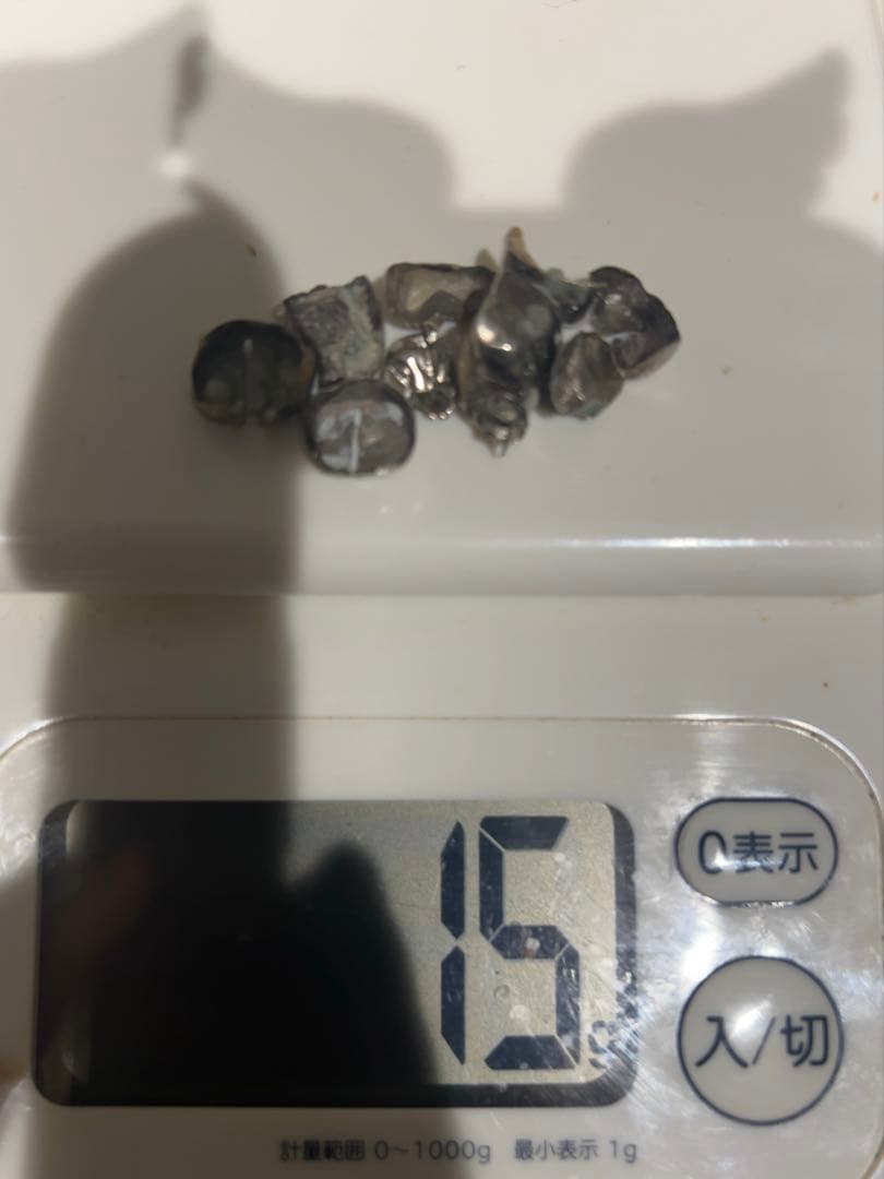 ミツバチ出品