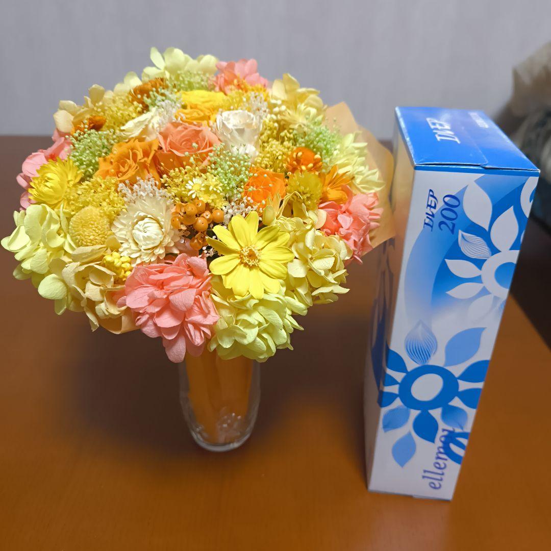 黎華　限定価格ビタミンLサイズ　 大人パープル　両方袋付き