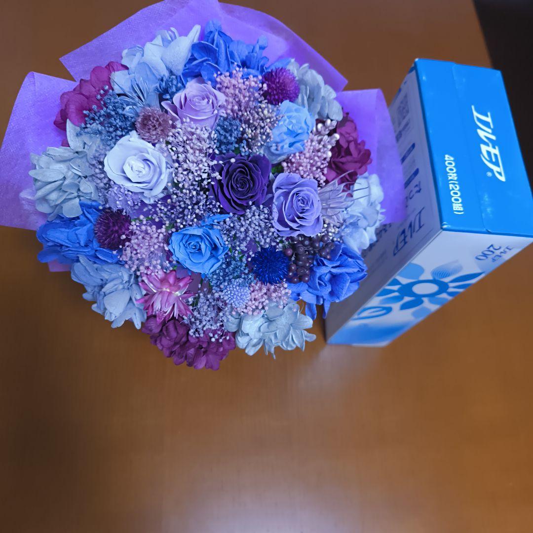 黎華　限定価格ビタミンLサイズ　 大人パープル　両方袋付き