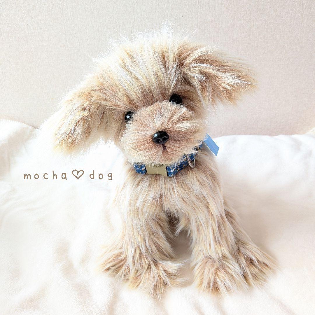 ＊mocha♡dog＊ マルプー(M)☆ぬいぐるみわんこ 犬 ハンドメイド