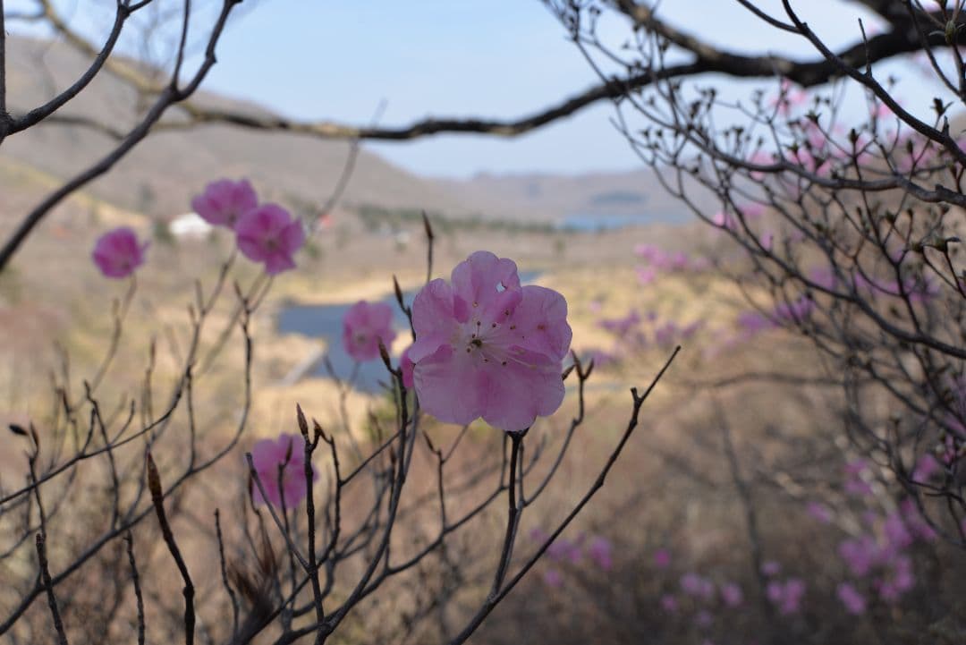 AF18-35mm F3.5-4.5D　(ニコンＳＣ点検済)