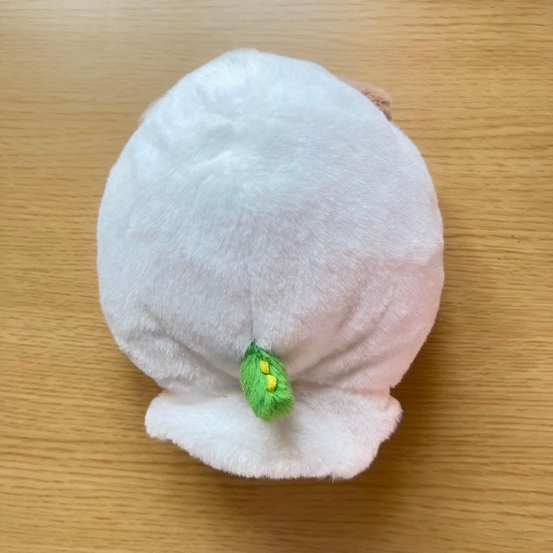 RIIZE アントン ペンライトカバー モンリョンイ