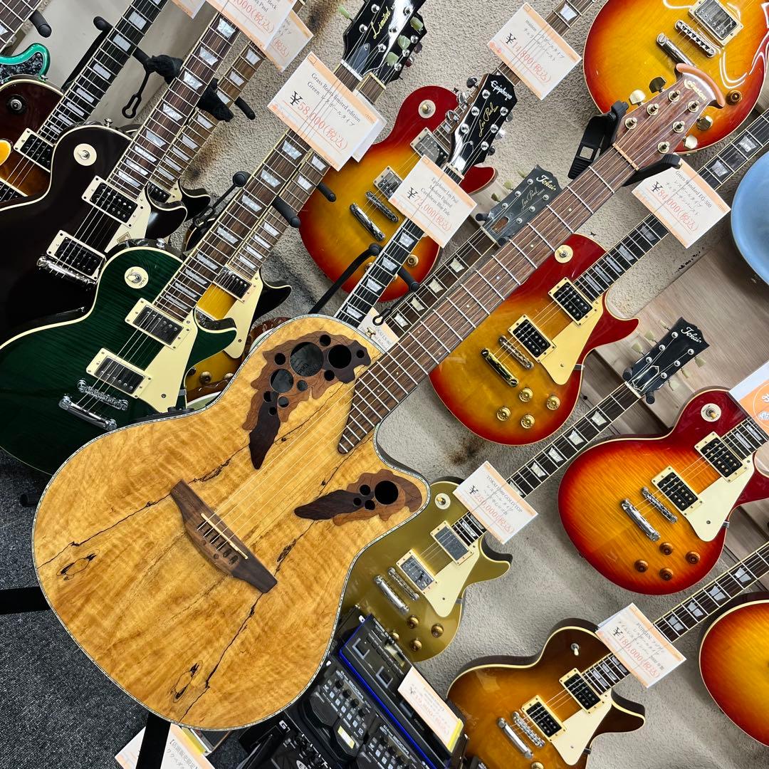 【11807】ovation CE44P スポルテッドメイプル エレアコ