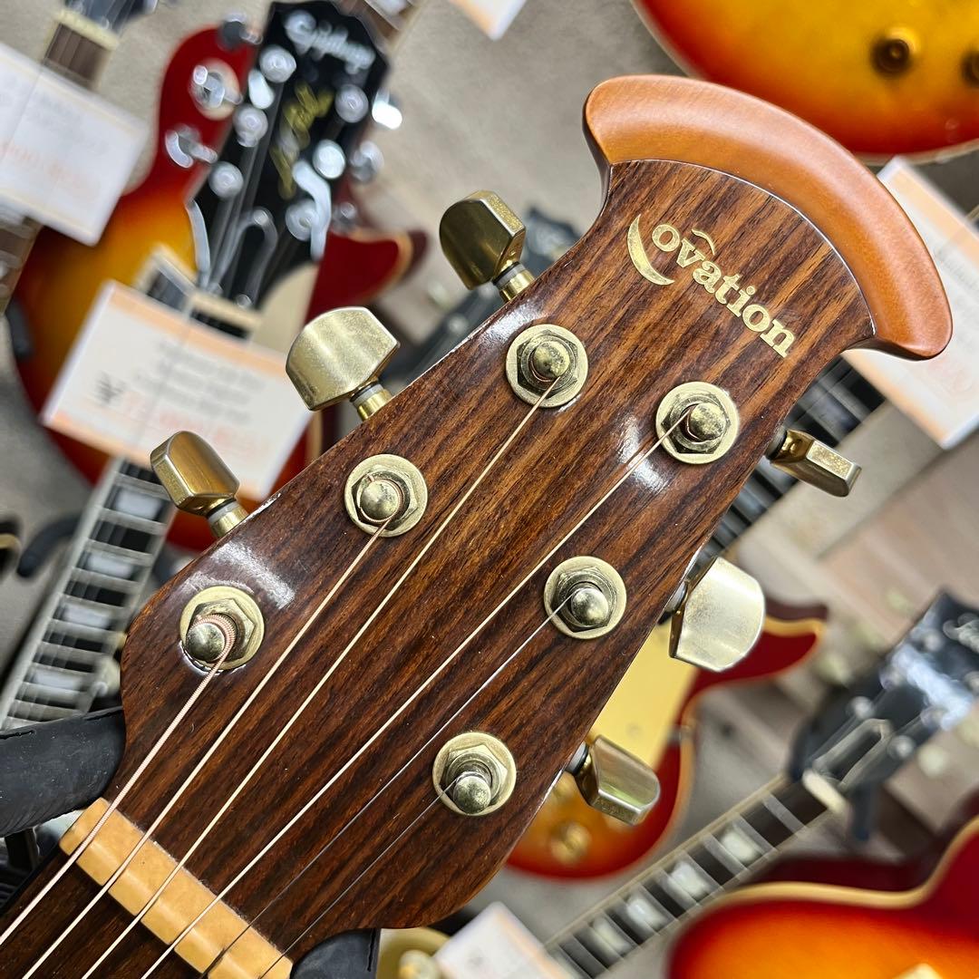 【11807】ovation CE44P スポルテッドメイプル エレアコ
