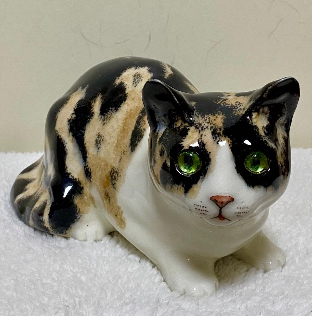 ウィンスタンレイキャット　ケンジントンキャット✨真緑の瞳✨激レア三毛猫✨サイズ5