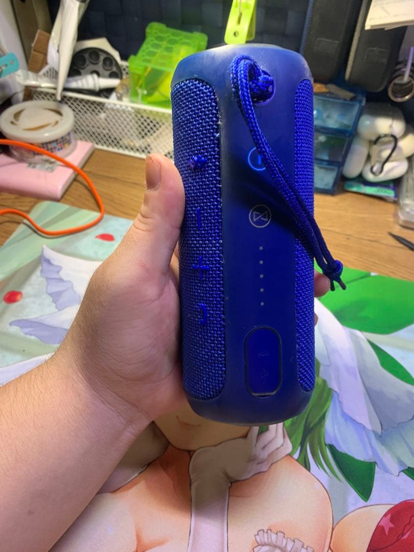 アンプ JBL FLIP3