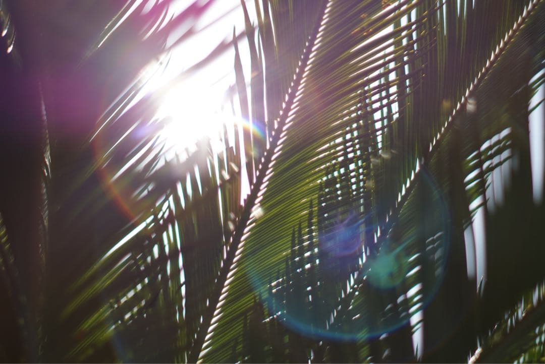 【分解清掃済み】Super Takumar 55mm f1.8