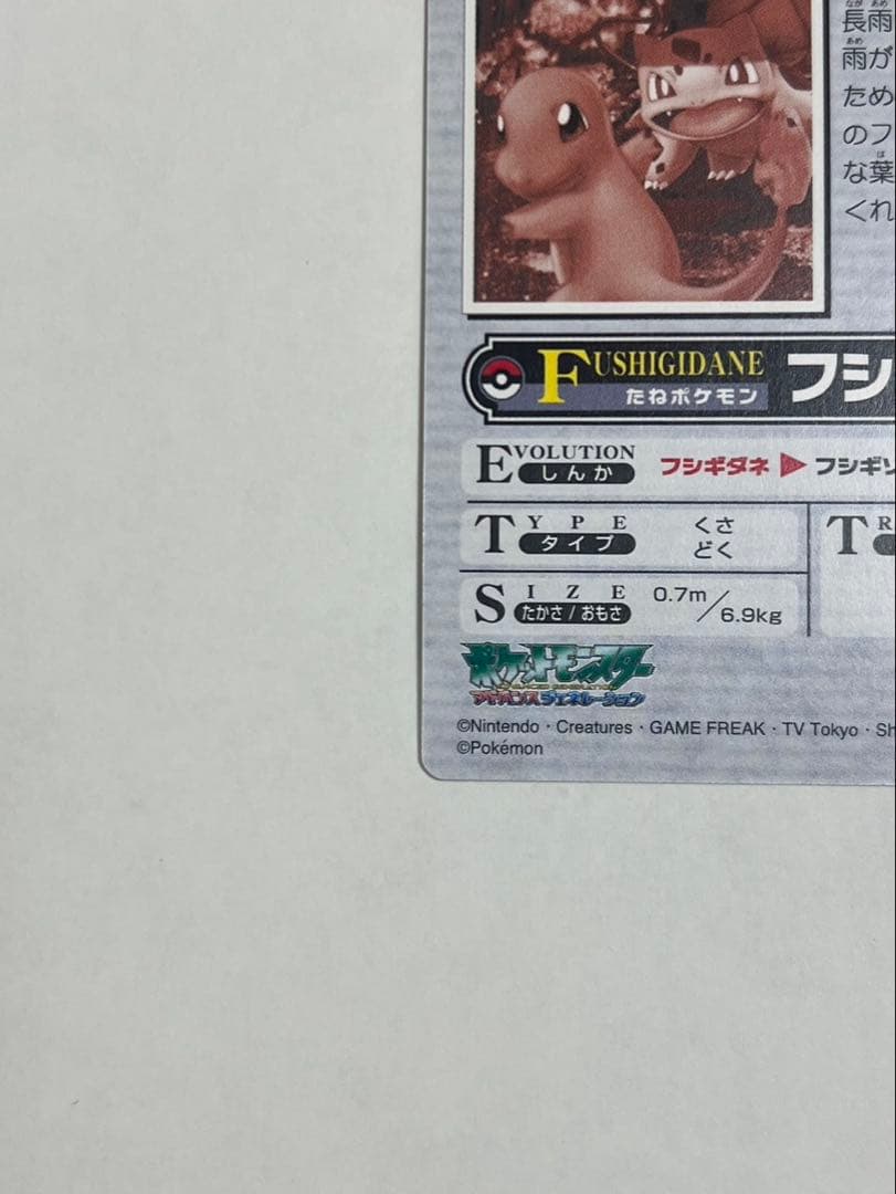 ポケモンウィークリーカード No.24 フシギダネ ヒトカゲ