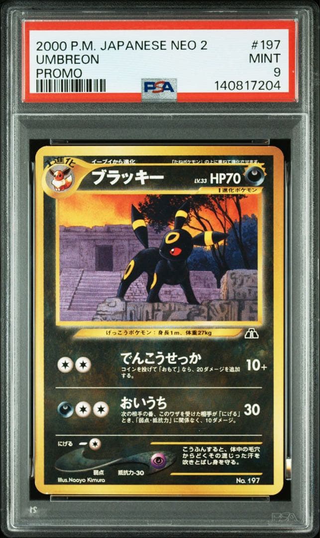 PSA9＊旧裏 イーブイ エーフィ ブラッキー ファイル neo PSA10以下