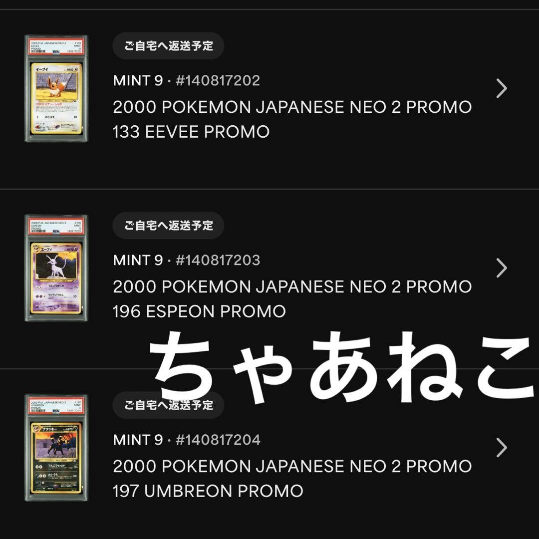 PSA9＊旧裏 イーブイ エーフィ ブラッキー ファイル neo PSA10以下