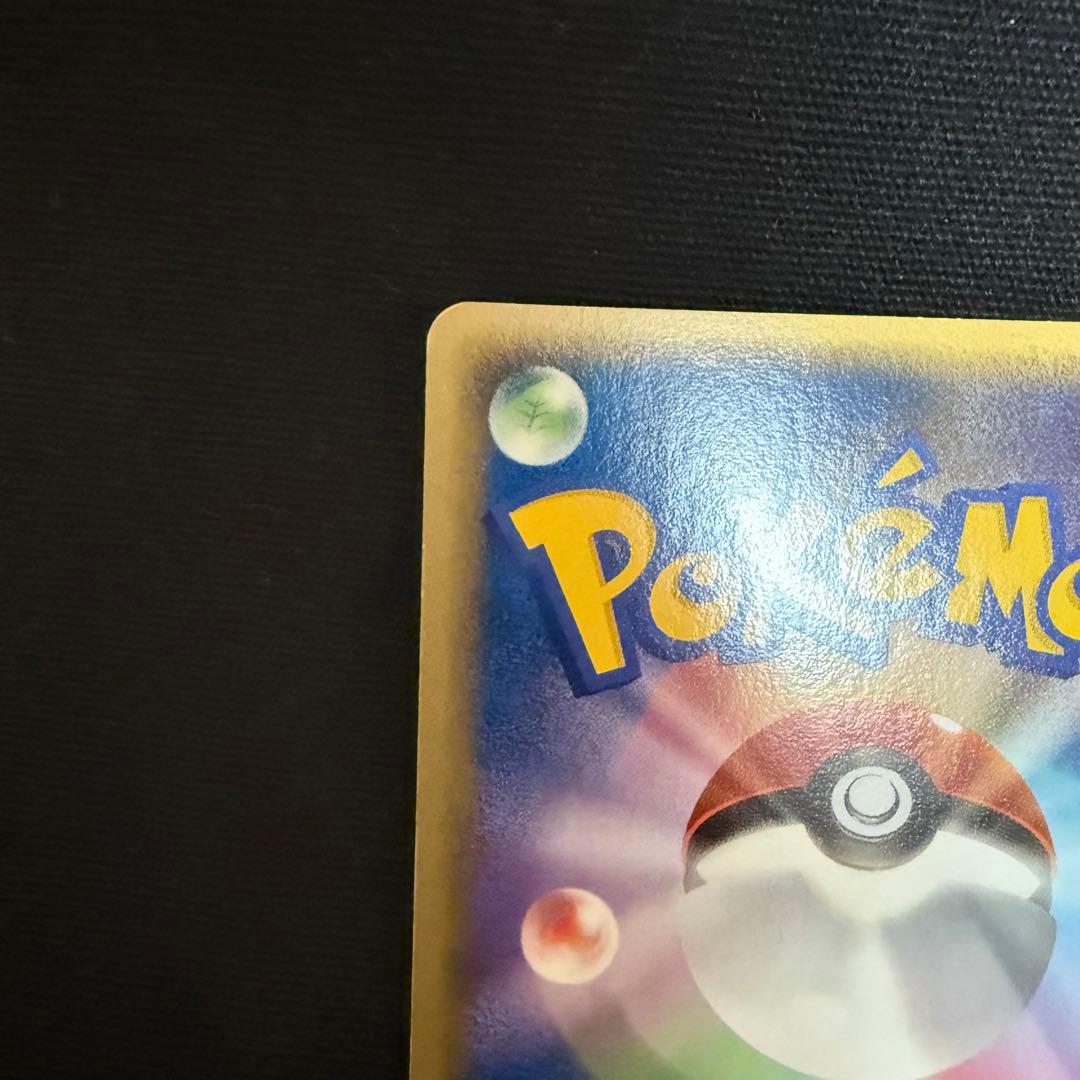 ポケパークのピカチュウ レックウザ