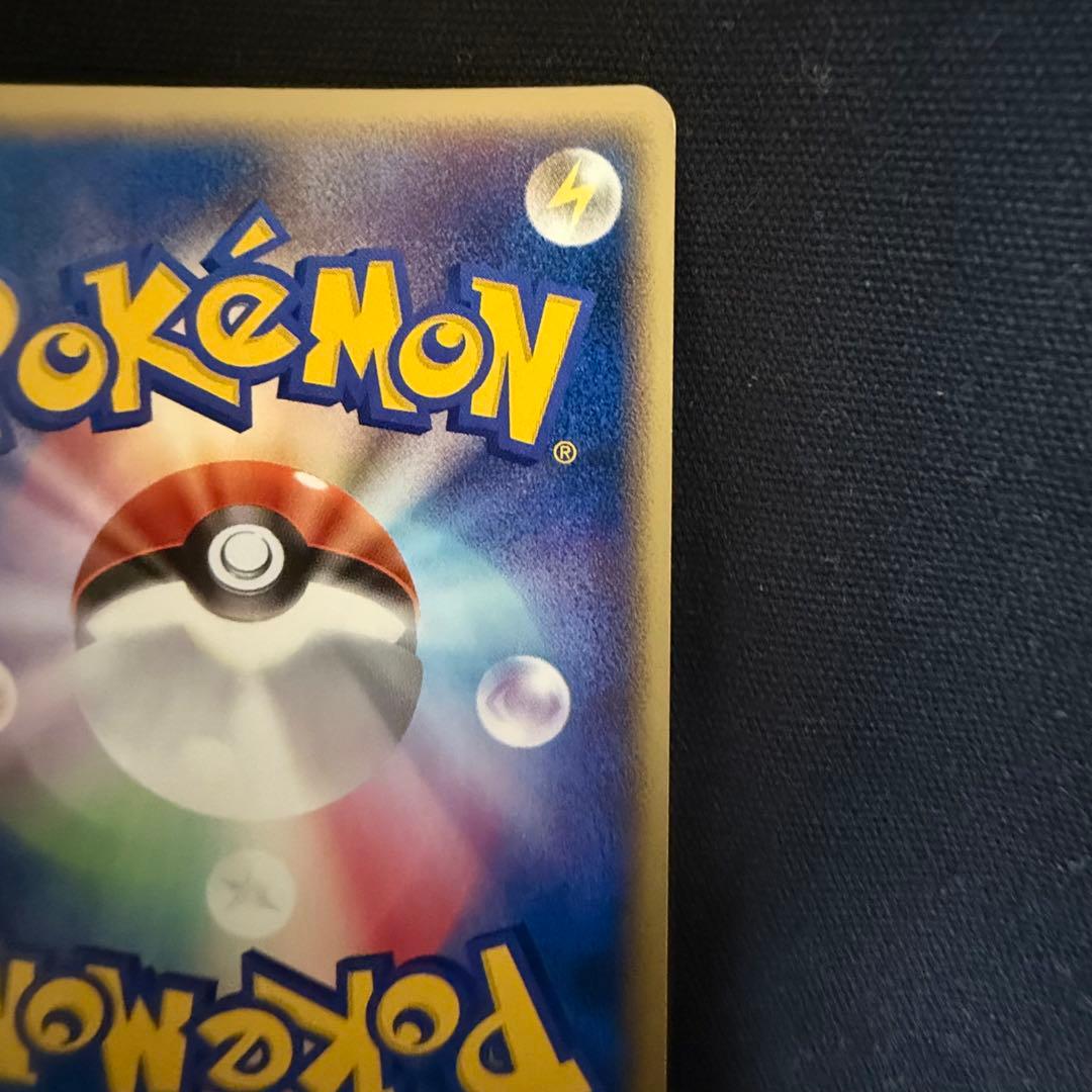 ポケパークのピカチュウ レックウザ