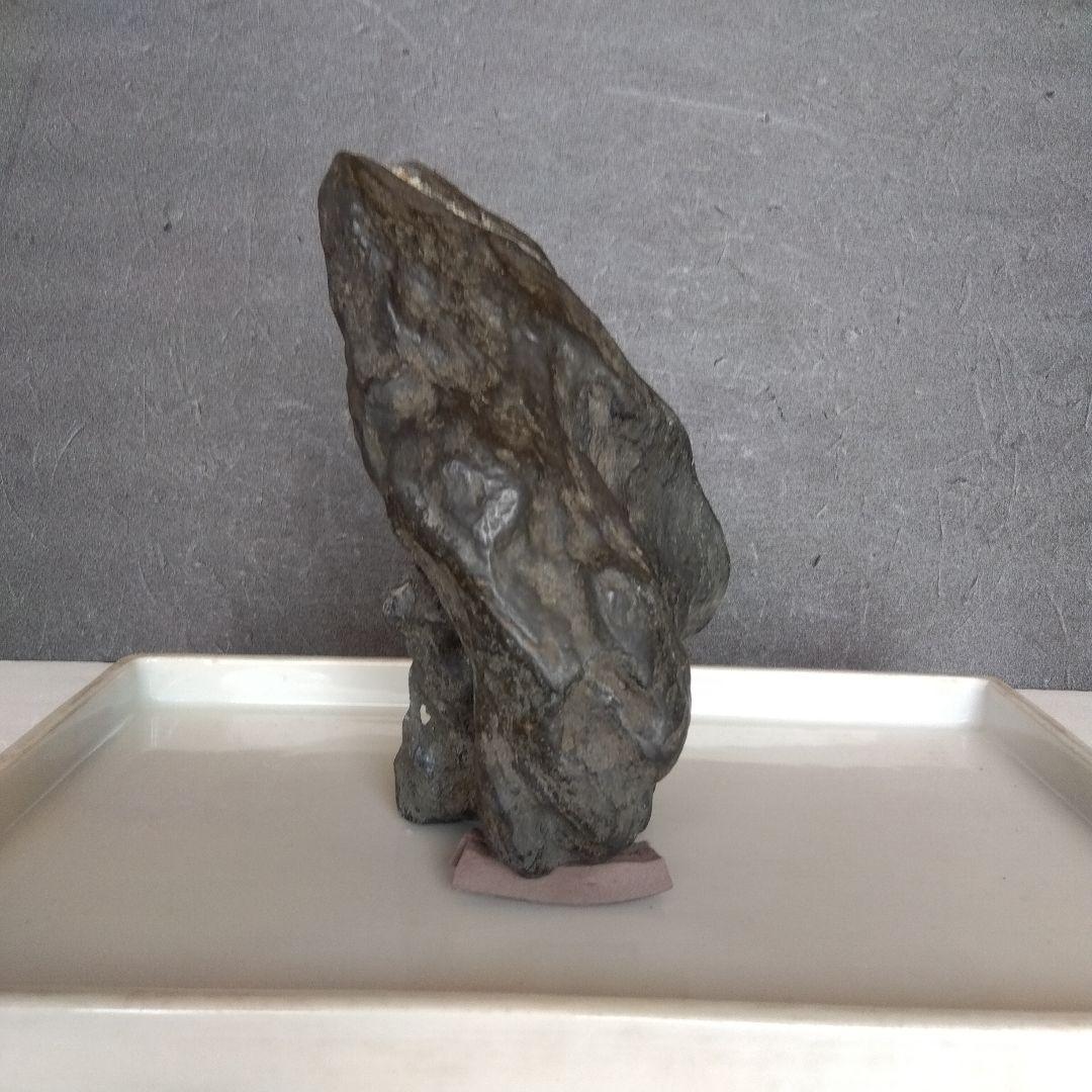 黒い水石 中型 自然石と水盤のセット