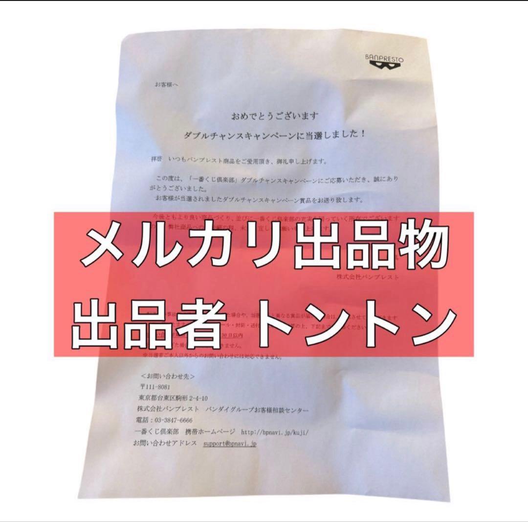 ダブルチャンス賞 一番くじ ピカチュウ ぬいぐるみ コレクション ポケモン