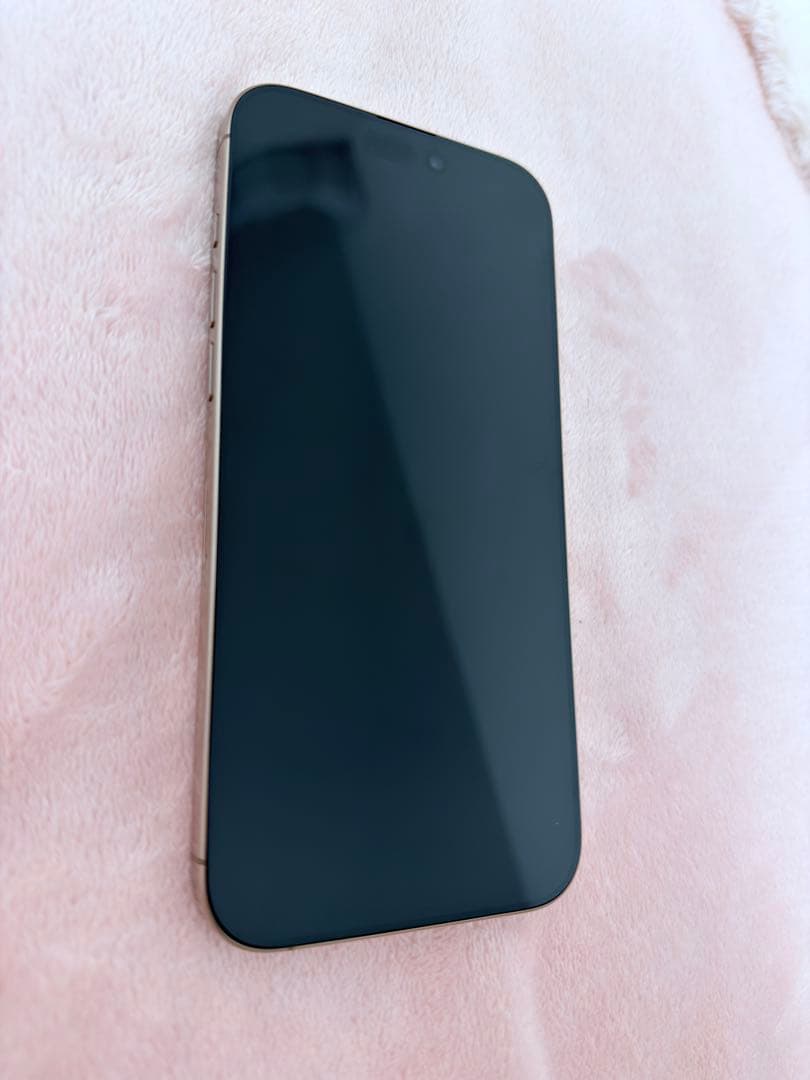 iPhone 16promax本体