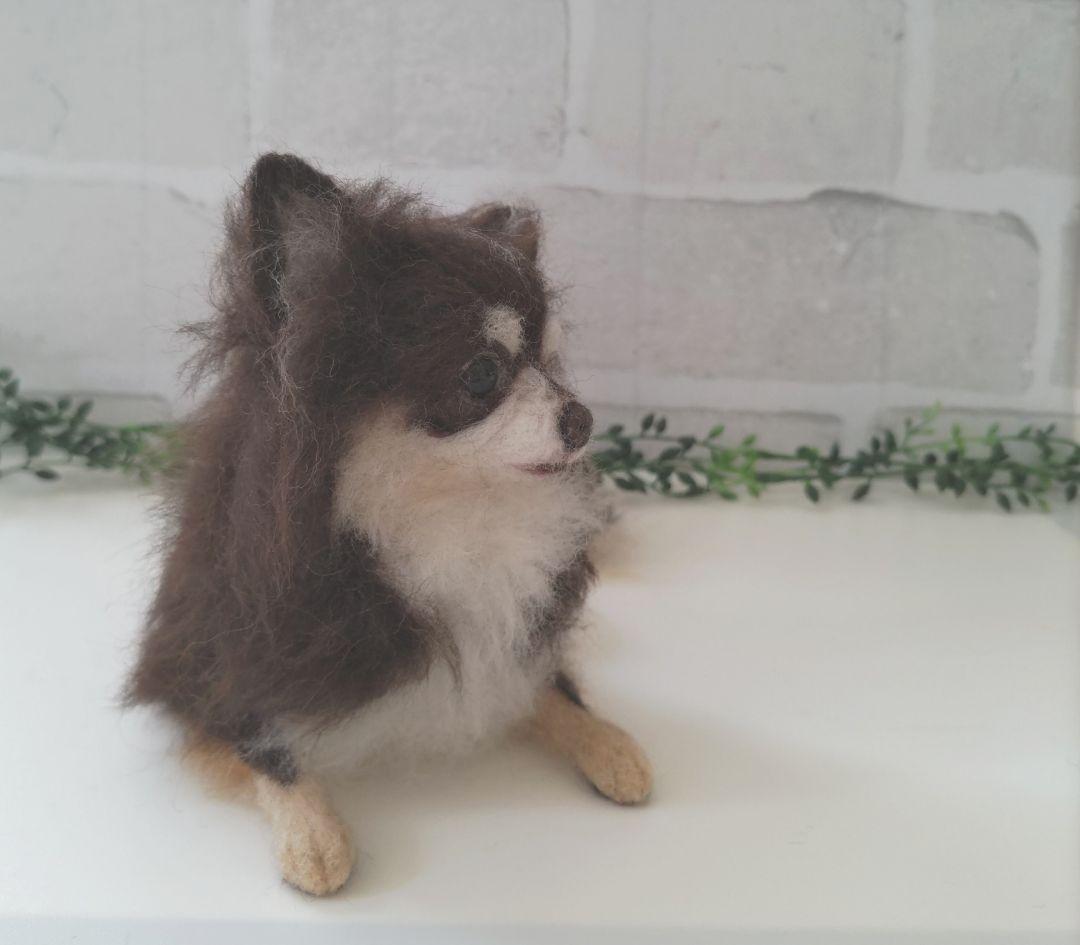 みー♡うちの子オーダー♡羊毛フェルト♪ハンドメイド☆