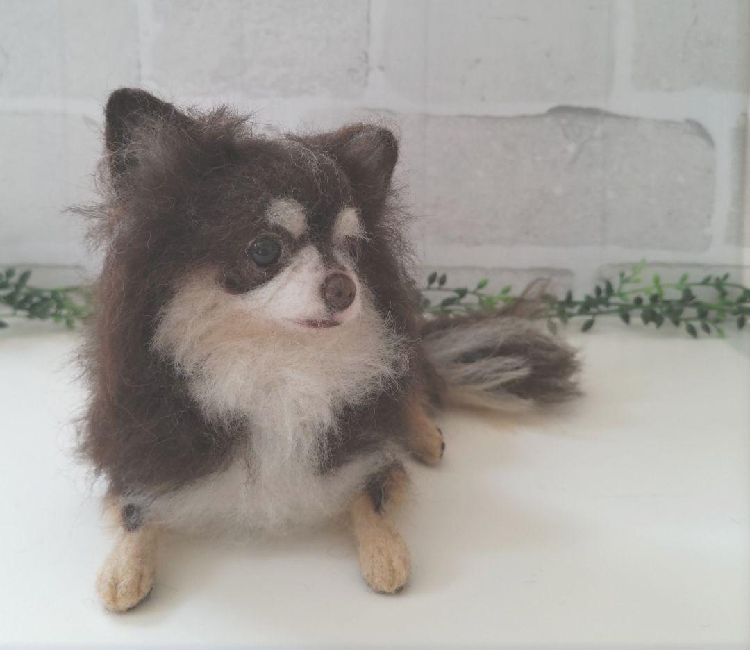 みー♡うちの子オーダー♡羊毛フェルト♪ハンドメイド☆