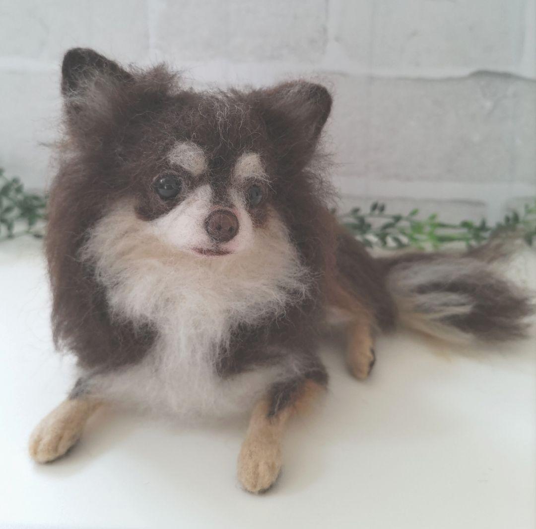 みー♡うちの子オーダー♡羊毛フェルト♪ハンドメイド☆