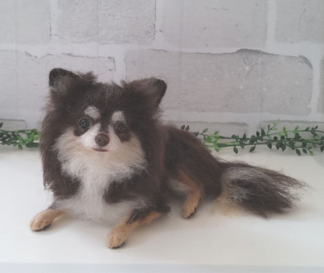 みー♡うちの子オーダー♡羊毛フェルト♪ハンドメイド☆