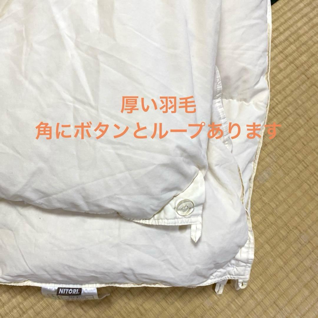 ニトリ 二枚合わせ合掛け羽毛布団 ダブルサイズ。エコ便ならシーツ2枚おまけ付き