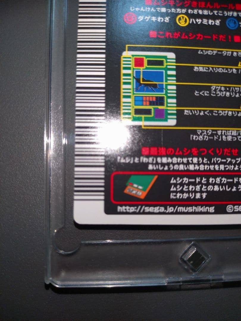 002ヘルクレスオオカブト クリスタル