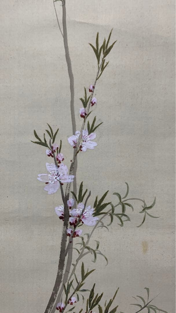 ①⑦ 日本画掛軸　署名捺印有り　作者不明　一堂生？