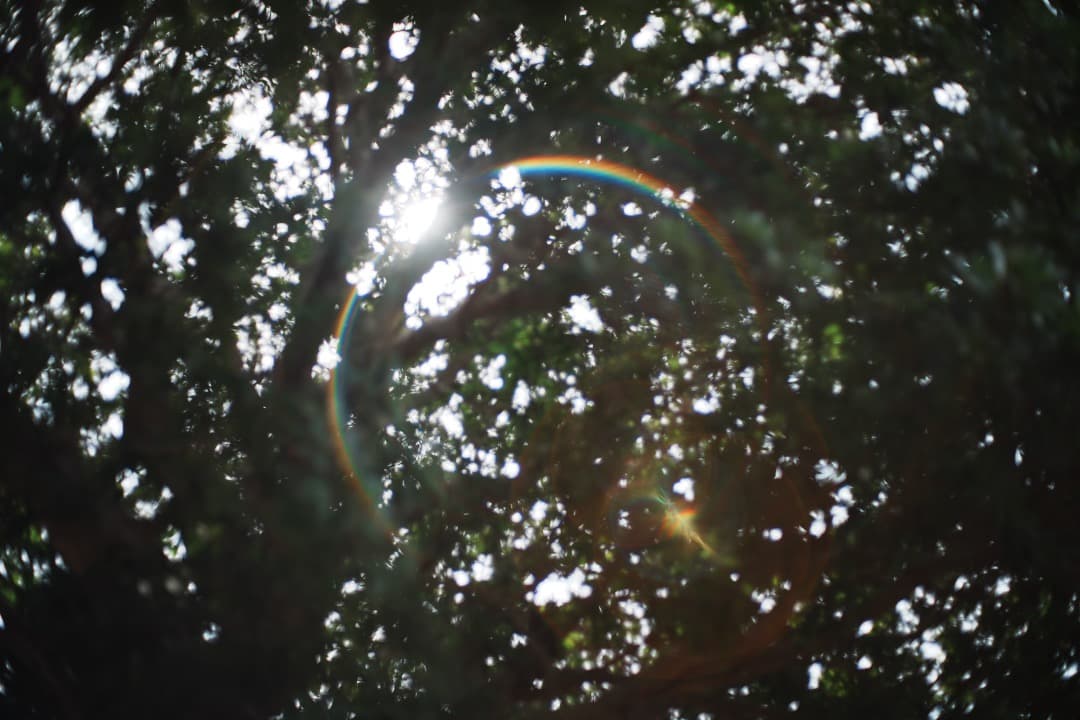 【富岡光学】動作◎ ヤシカ Auto Yashinon-DS 50mm F1.7