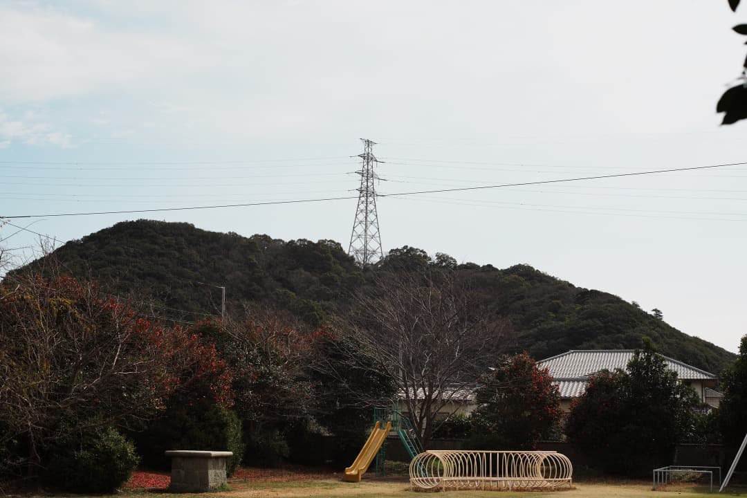 【富岡光学】動作◎ ヤシカ Auto Yashinon-DS 50mm F1.7