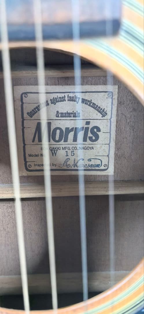 Morris W-15 アコースティックギター