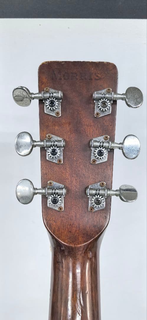 Morris W-15 アコースティックギター