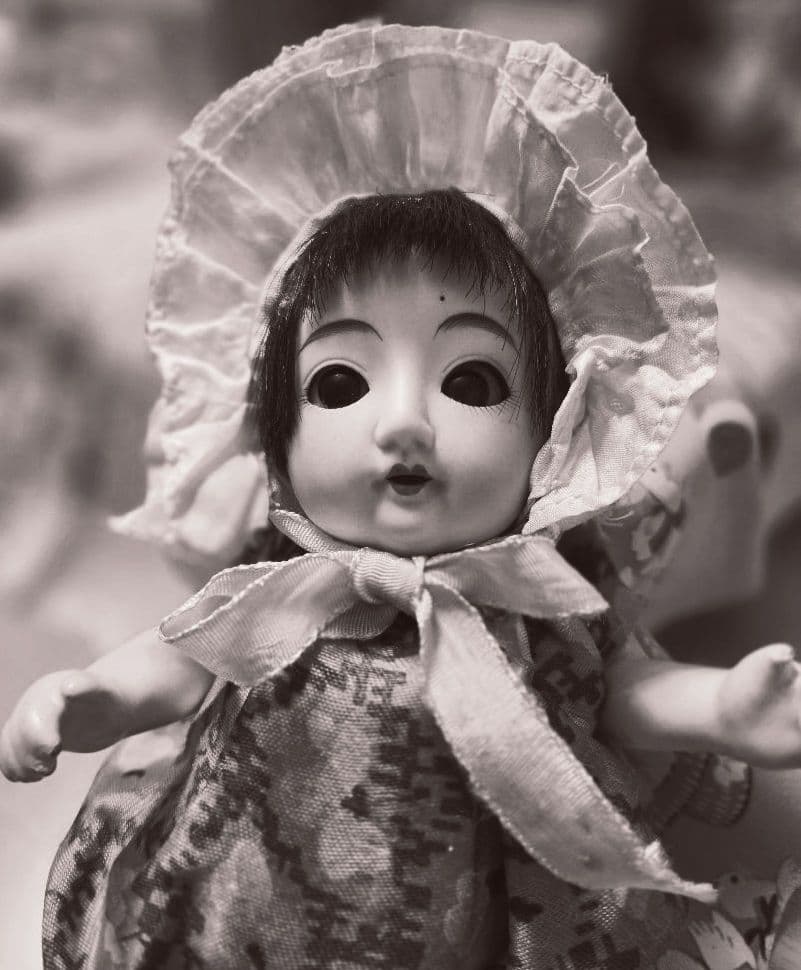 さんごやま【瞳に…釘付け！チャーミング】 ♥️サクラビスク♥️✨美人ちゃん