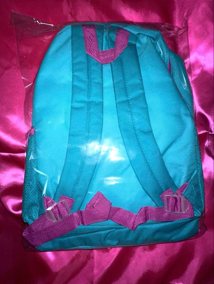 【激レア‼️】ファインディングドリー 実写リュック ディズニー