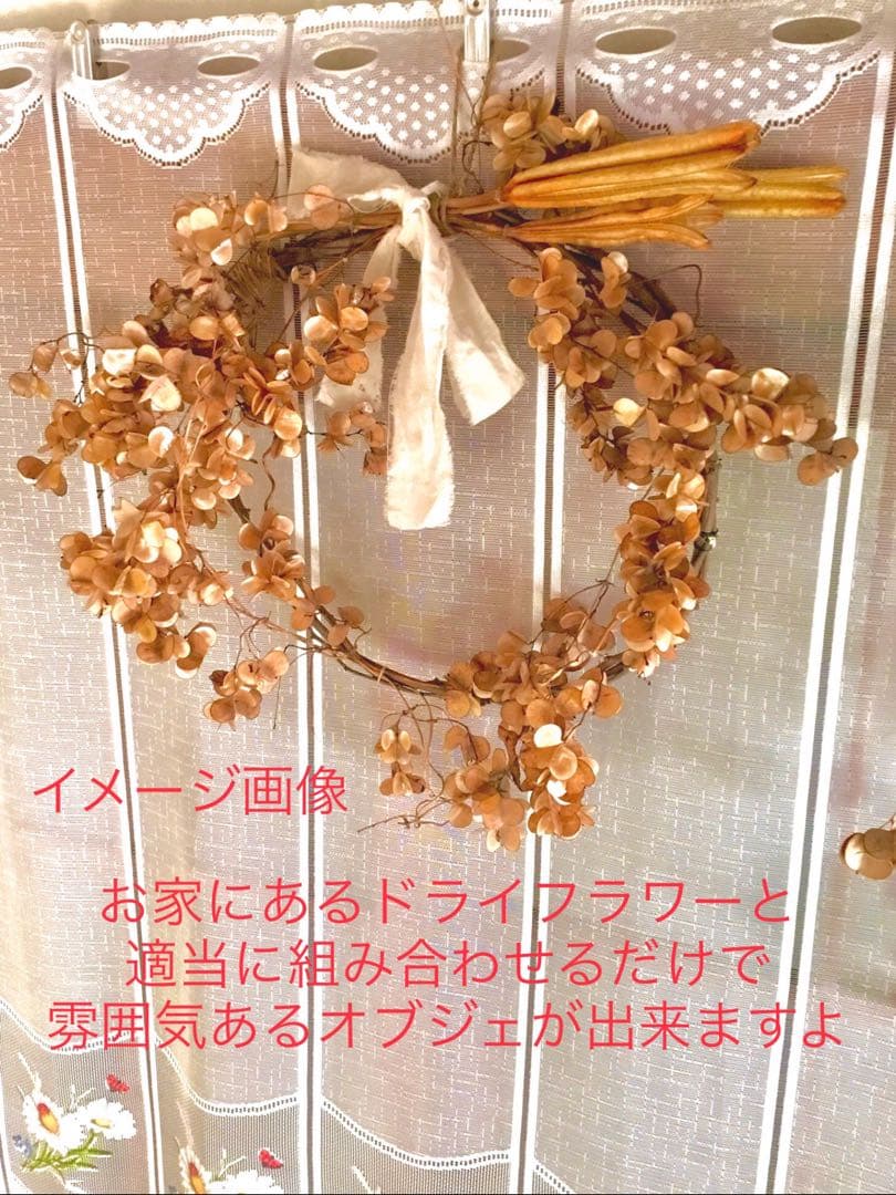 花材【天然野生＊テッポウ百合の花殻】60サイズめいっぱい！百合殼＊ドライフラワー