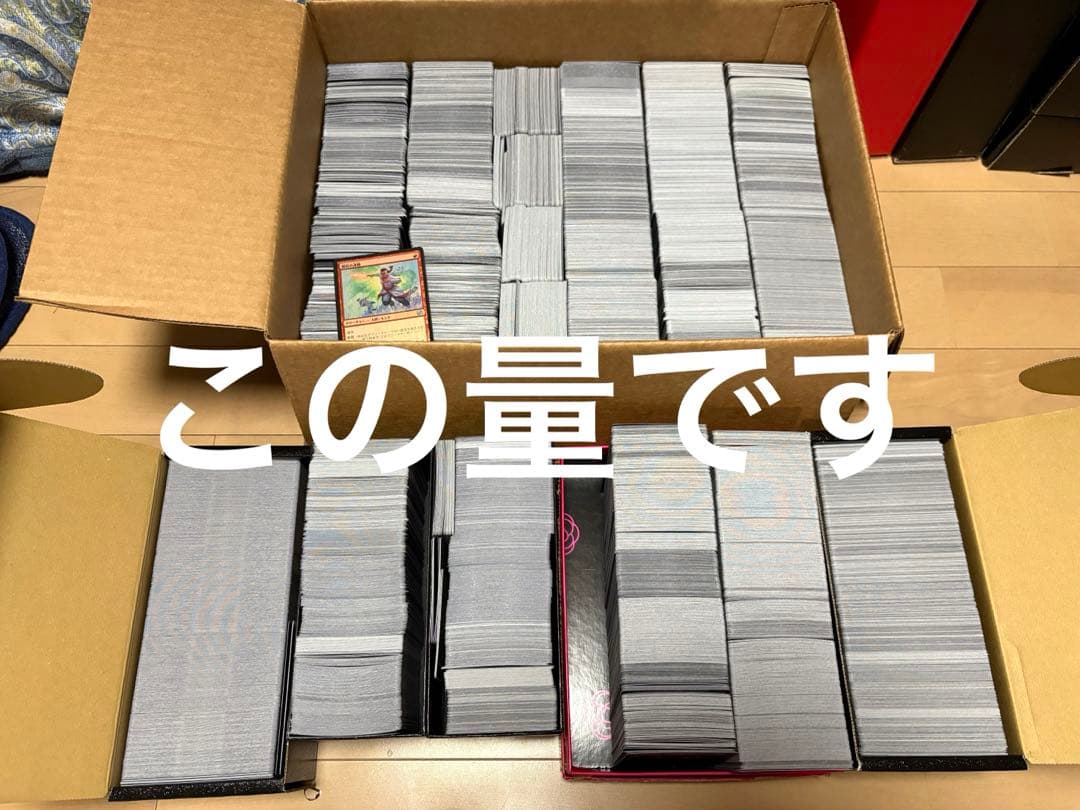 MTG foil 大量まとめ売りセット コモン アンコ ローウィン タートルズ