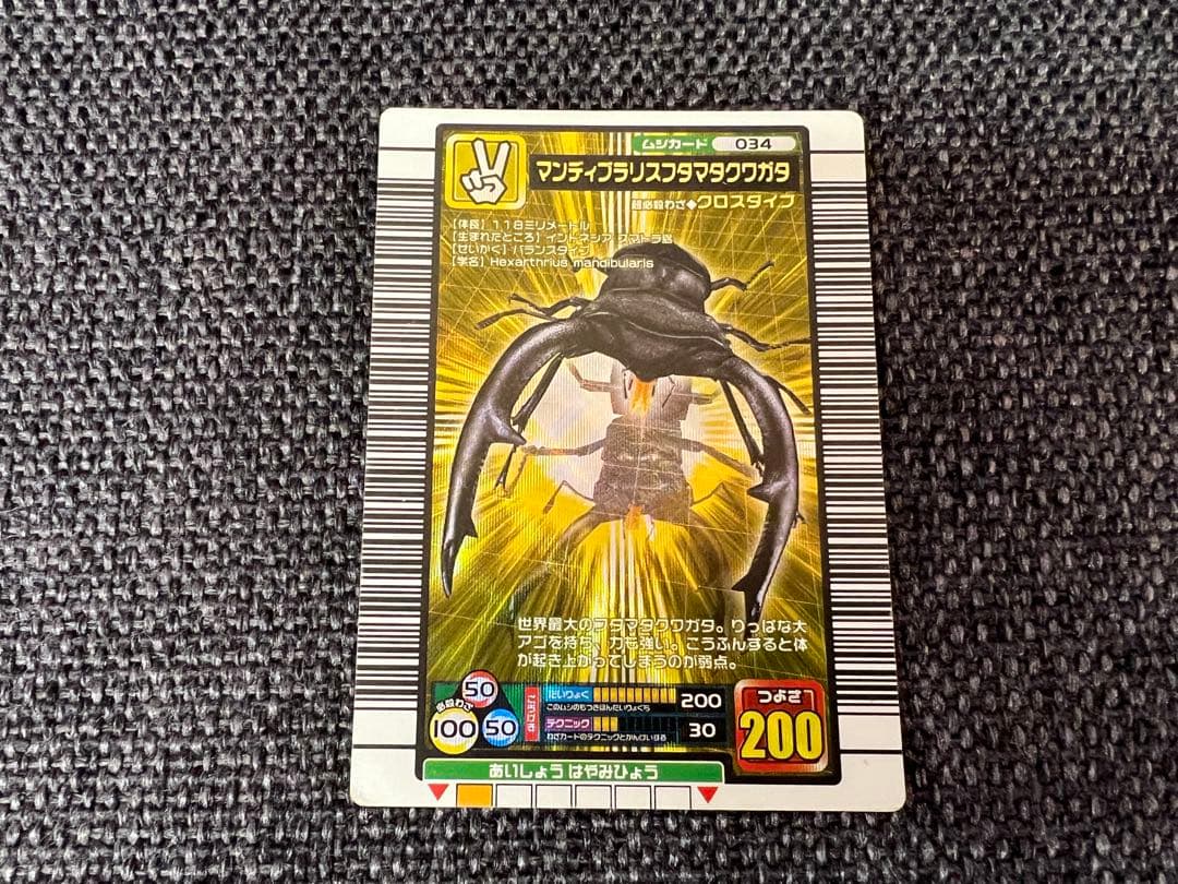 美品 2005年ファースト+ 金レア マンディブラリスフタマタクワガタ 034