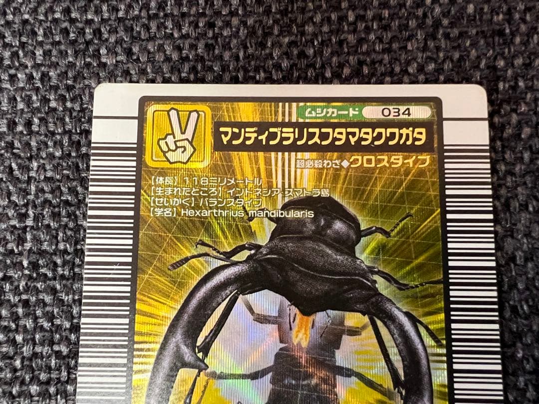 美品 2005年ファースト+ 金レア マンディブラリスフタマタクワガタ 034