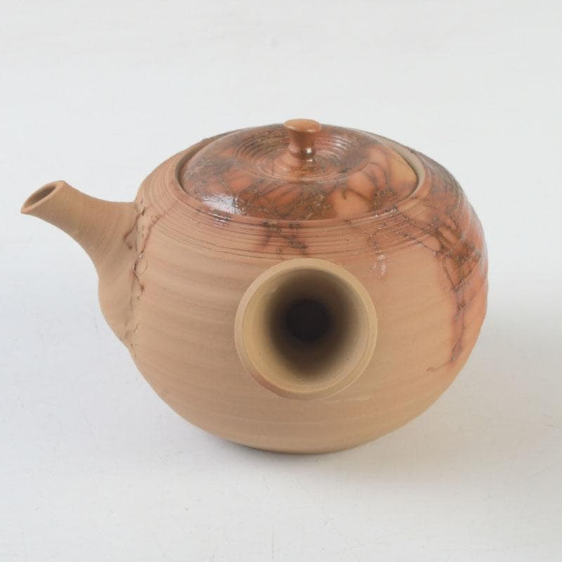 茶道具　常滑焼　桑山圭洋造　朱泥　茶注　急須　共布共箱　V　9917