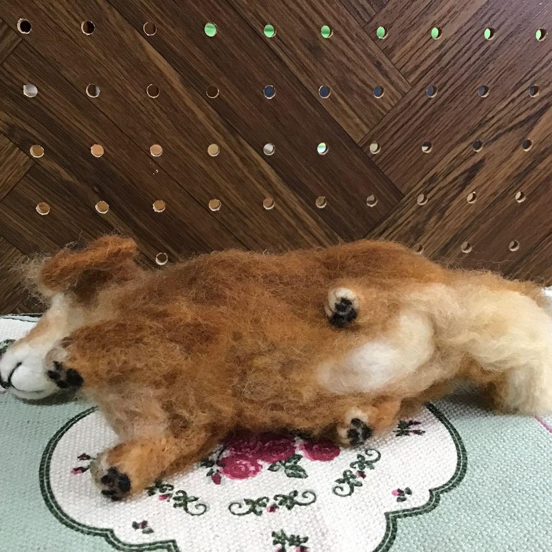 ミニチュアダックス（オーダー品）