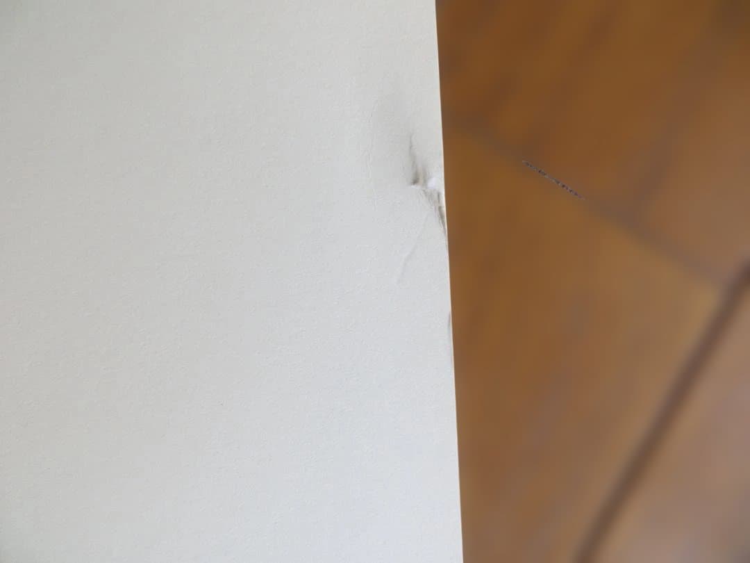 Peter Helck ピーター ヘルク 1940年代のプリント 8枚セット