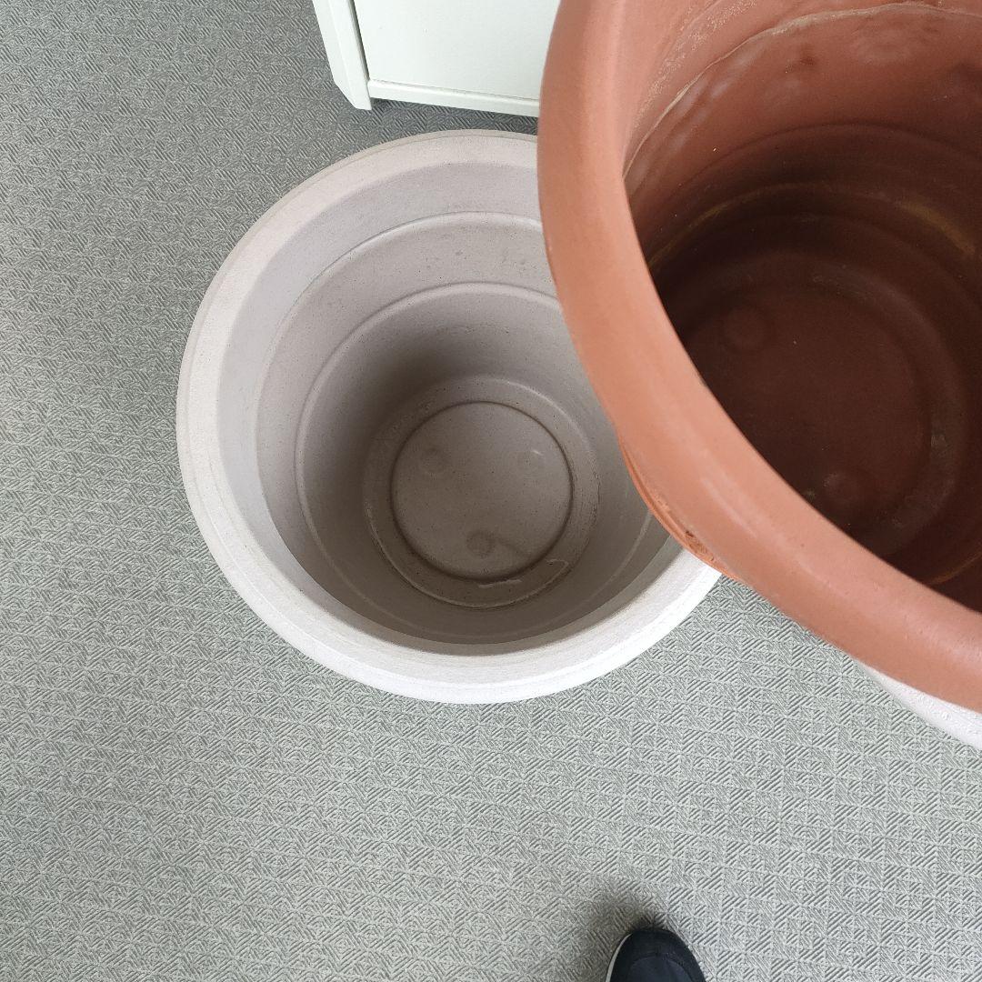 プラスチック製鉢 5個セット テラコッタ・ライトベージュ